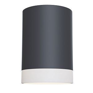 Потолочный светильник Maytoni Technical C008CW-01B фото