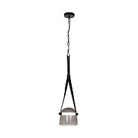 Подвесной светильник LOFT IT 1608P-BL фото