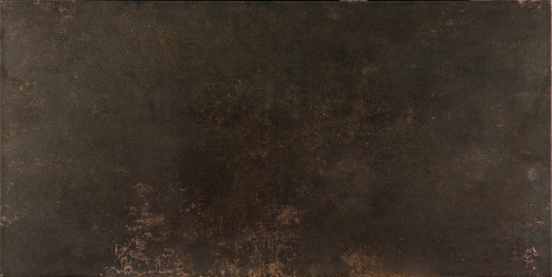Керамогранит Evolution Bronce 49.1x98.2