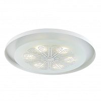 Накладной светильник Favourite 2601-5C фото