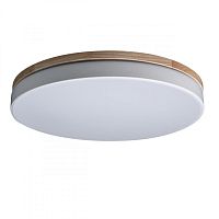 Накладной светильник LOFT IT 10001/36 White фото