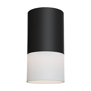 Потолочный светильник Maytoni Technical C007CW-01B фото