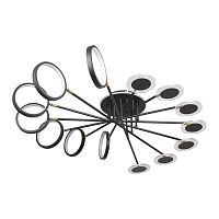 Накладная люстра LOFT IT 10164L Black фото
