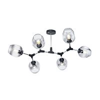 Потолочный светильник Freya FR5006CL-06B фото