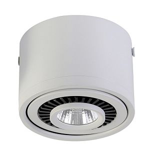 Накладной светильник Favourite 1775-1C фото