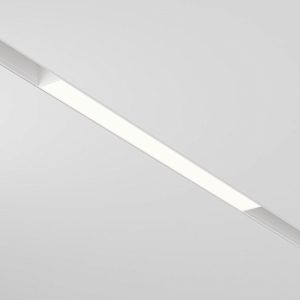 Светильник на шине Maytoni Technical TR030-2-12W3K-W фото