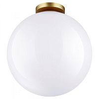 Накладной светильник Odeon Light 4250/1C фото