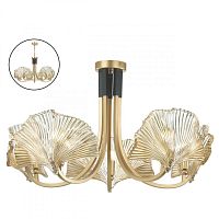 Люстра на штанге Odeon Light 4870/5 фото