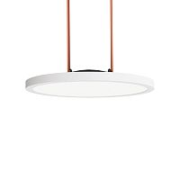 Светильник на шине Denkirs DK5566-WH+BK фото