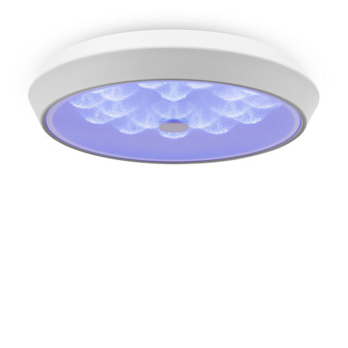 Потолочный светильник Freya FR10012CL-L24W фото 6