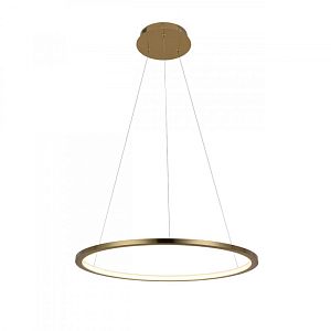 Подвесной светильник LOFT IT 10014M фото