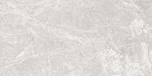 Керамогранит Colortile Paradise Silver Glossy 600x1200 фото