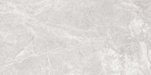 Керамогранит Colortile Paradise Silver Glossy 600x1200