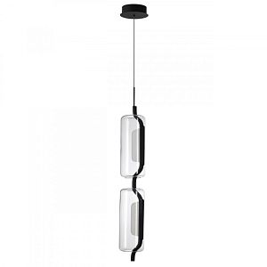 Подвесной светильник Odeon Light 5003/20L фото