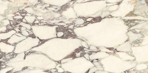 Керамогранит Ariostea Marmi Classici P612671 Calacatta Viola Soft 60x120