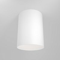 Потолочный светильник Maytoni Technical C014CL-01W фото