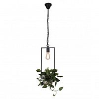 Подвесной светильник Favourite 1975-1P фото