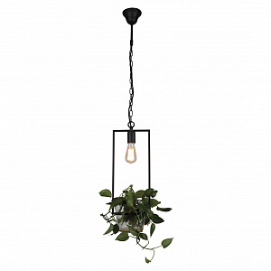 Подвесной светильник Favourite 1975-1P фото