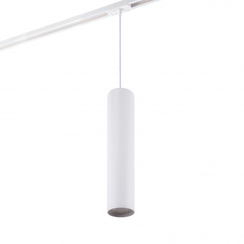 Светильник на шине Denkirs DK6210-WH