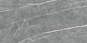 Керамогранит TAU Ceramica Elite Graphite Pul 60x120 фото