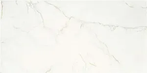 Керамогранит STN Ceramica Thuile CAN5THUIVDAA Venato Natural MT 60x120 фото