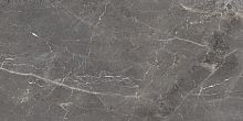 Керамогранит Ocean Ceramic India Tulip Grey 60х120 фото