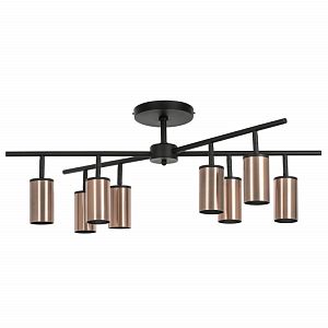 Люстра на штанге Lightstar LR728308 фото