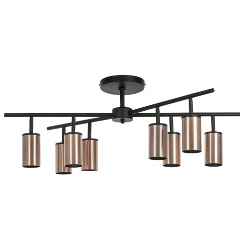 Люстра на штанге Lightstar LR728308