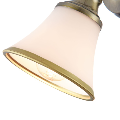 Спот Freya FR2272-WL-01-BS фото 3