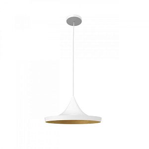 Подвесной светильник LOFT IT LOFT1844/C фото