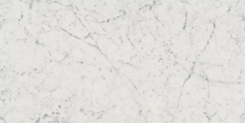 Italon Керамический гранит Charme Extra Floor Project Керамогранит Carrara 60x120 натуральный
