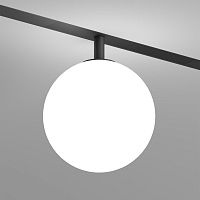 Светильник на шине Denkirs DK8051-BK фото