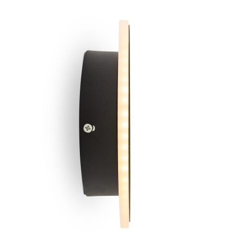 Настенный светильник (бра) Freya FR6002WL-L13B фото 4