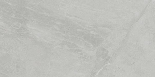 Керамогранит Ariostea Marmi Classici PL612498 Gris De Savoie Lucidato 60x120