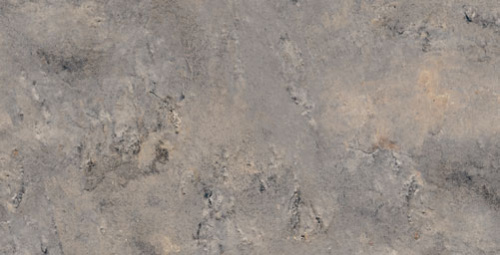 Керамогранит Ardesia Gris 32x62.5