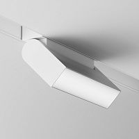 Светильник на шине Maytoni Technical TR075-2-10W4K-W фото