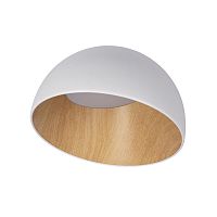 Накладной светильник LOFT IT 10197/350 White фото