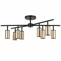Люстра на штанге Lightstar LR728408 фото