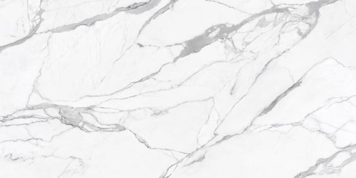 Керамогранит Ava Ceramica Statuario Reale Lapp.Rett. 60x120