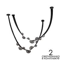 Накладной светильник LOFT IT 10188/2500 фото