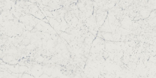 Italon Керамический гранит Charme Extra Floor Project Керамогранит Carrara 60x120 люкс