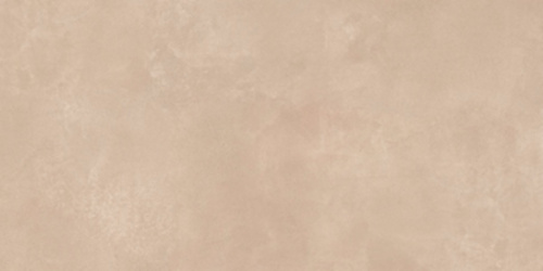 Керамогранит Imola Ceramica Retina RTN6 Terra12 RM 60x120