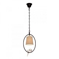Подвесной светильник LOFT IT LOFT1029A-1 фото