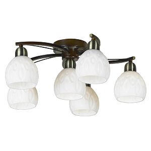 Накладная люстра Lussole LSP-0045 фото