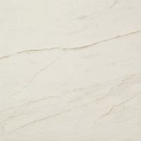 Керамогранит AVGD Marvel Cremo Delicato 60x60 фото