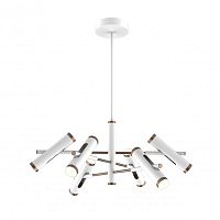 Люстра на штанге Favourite 2325-12P фото