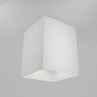 Потолочный светильник Maytoni Technical C015CL-01W фото