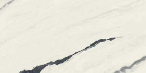 Керамогранит 610010002709 Forte dei Marmi Panda White Rett 80x160