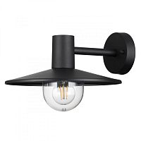 Светильник настенный Odeon Light 4833/1W фото