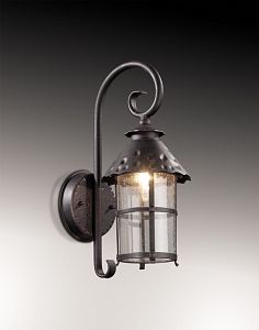 Светильник настенный Odeon Light 2312/1W фото